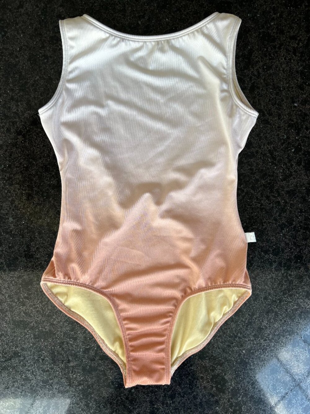 Class In Boat Neck Pink Ombre Adult Small Leotard